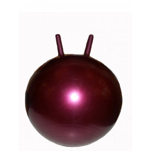 Мяч гимнастический Arpax Д-45 с рожками фиолетовый металлик